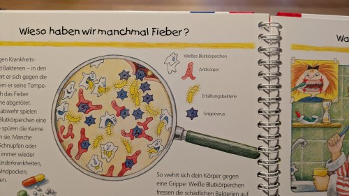 Fotografierter Ausschnitt aus dem in der Bildunterschrift angegebenen Kinderbuch. Überschrift als Kolumnentitel oben: "Wieso haben wir manchmal Fieber?" Zu sehen ist eine gezeichnete Lupe, die verschiedene Zellen des menschlichen Blutes vergrößert zeigt. Daneben als Legende die einzelnen Zellen:
weiß: "Weißes Blutkörperchen"
rot: "Antikörper"
gelb: "Erkältungsbakterie"
blau: "Grippevirus"